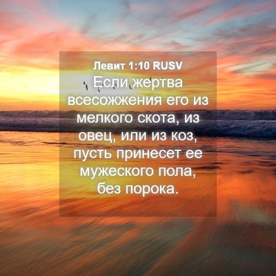 Picture 04 - Левит 1:10 RUSV - Если жертва всесожжения - Bible Verse Picture