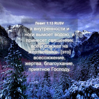 Picture 04 - Левит 1:13 RUSV - а внутренности и ноги - Bible Verse Picture