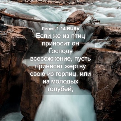 Picture 04 - Левит 1:14 RUSV - Если же из птиц приносит он - Bible Verse Picture