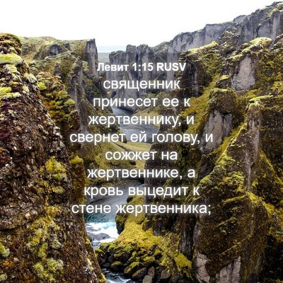 Picture 04 - Левит 1:15 RUSV - священник принесет ее к - Bible Verse Picture