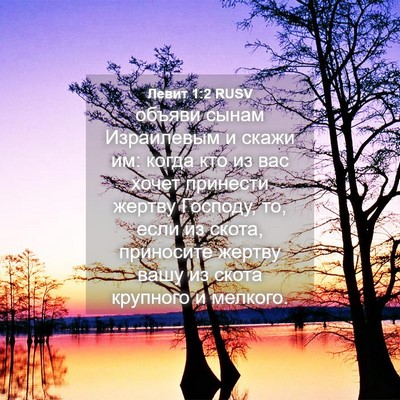 Picture 04 - Левит 1:2 RUSV - объяви сынам Израилевым и - Bible Verse Picture