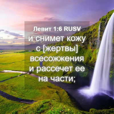 Picture 04 - Левит 1:6 RUSV - и снимет кожу с [жертвы] - Bible Verse Picture