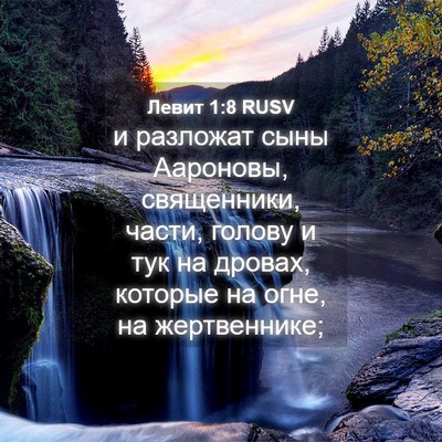 Picture 04 - Левит 1:8 RUSV - и разложат сыны Аароновы, - Bible Verse Picture