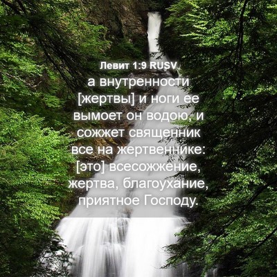 Picture 04 - Левит 1:9 RUSV - а внутренности [жертвы] и - Bible Verse Picture