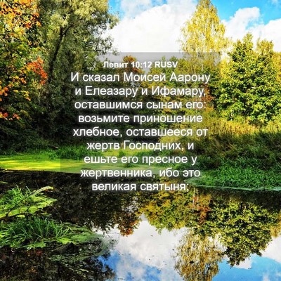 Picture 04 - Левит 10:12 RUSV - И сказал Моисей Аарону и - Bible Verse Picture