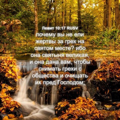 Picture 04 - Левит 10:17 RUSV - почему вы не ели жертвы за - Bible Verse Picture