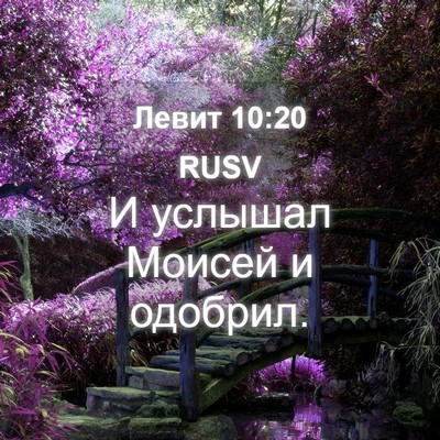 Picture 04 - Левит 10:20 RUSV - И услышал Моисей и - Bible Verse Picture