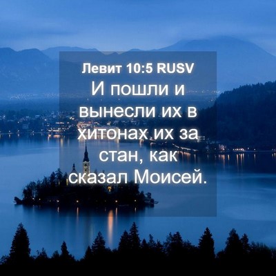 Picture 04 - Левит 10:5 RUSV - И пошли и вынесли их в - Bible Verse Picture