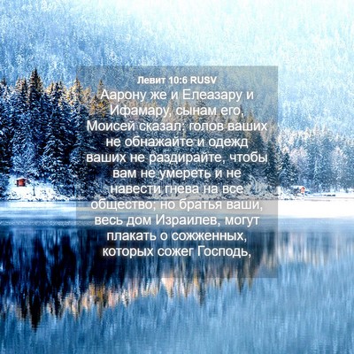 Picture 04 - Левит 10:6 RUSV - Аарону же и Елеазару и - Bible Verse Picture