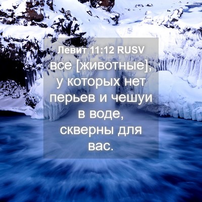 Picture 04 - Левит 11:12 RUSV - все [животные], у которых - Bible Verse Picture