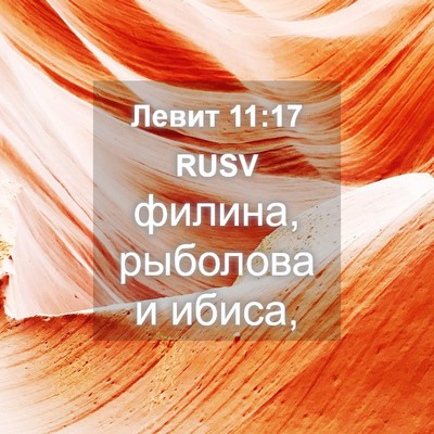 Picture 04 - Левит 11:17 RUSV - филина, рыболова и - Bible Verse Picture