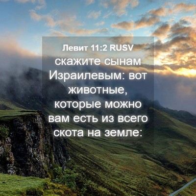 Picture 04 - Левит 11:2 RUSV - скажите сынам Израилевым: - Bible Verse Picture