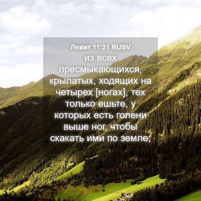 Picture 04 - Левит 11:21 RUSV - из всех пресмыкающихся, - Bible Verse Picture