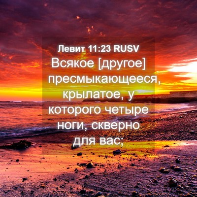 Picture 04 - Левит 11:23 RUSV - Всякое [другое] - Bible Verse Picture