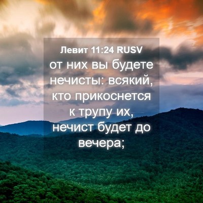 Picture 04 - Левит 11:24 RUSV - от них вы будете нечисты: - Bible Verse Picture
