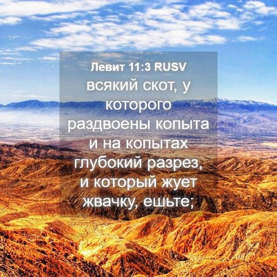 Picture 04 - Левит 11:3 RUSV - всякий скот, у которого - Bible Verse Picture