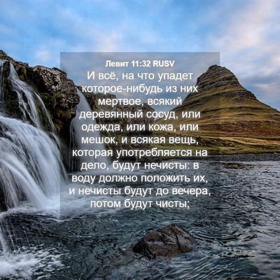 Picture 04 - Левит 11:32 RUSV - И всё, на что упадет - Bible Verse Picture