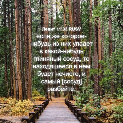 Picture 04 - Левит 11:33 RUSV - если же которое-нибудь из - Bible Verse Picture