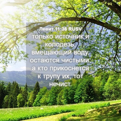 Picture 04 - Левит 11:36 RUSV - только источник и - Bible Verse Picture