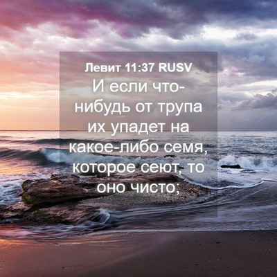Picture 04 - Левит 11:37 RUSV - И если что-нибудь от трупа - Bible Verse Picture
