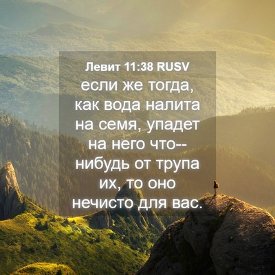 Picture 04 - Левит 11:38 RUSV - если же тогда, как вода - Bible Verse Picture