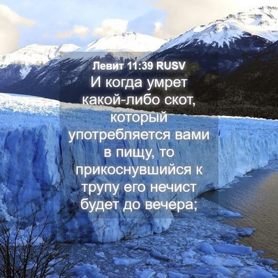 Picture 04 - Левит 11:39 RUSV - И когда умрет какой-либо - Bible Verse Picture