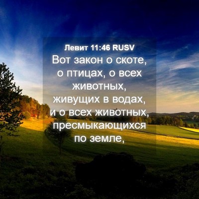 Picture 04 - Левит 11:46 RUSV - Вот закон о скоте, о птицах, - Bible Verse Picture
