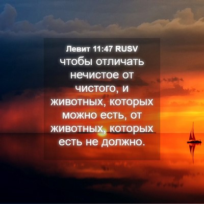 Picture 04 - Левит 11:47 RUSV - чтобы отличать нечистое от - Bible Verse Picture