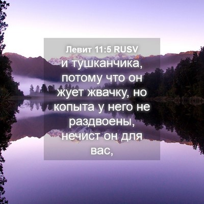 Picture 04 - Левит 11:5 RUSV - и тушканчика, потому что он - Bible Verse Picture