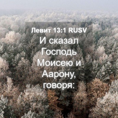 Picture 04 - Левит 13:1 RUSV - И сказал Господь Моисею и - Bible Verse Picture