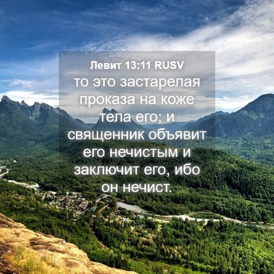 Picture 04 - Левит 13:11 RUSV - то это застарелая проказа - Bible Verse Picture