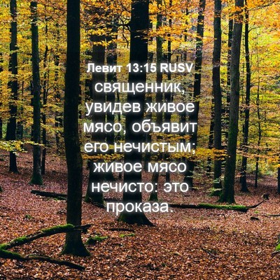 Picture 04 - Левит 13:15 RUSV - священник, увидев живое - Bible Verse Picture