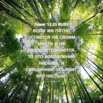 Picture 04 - Левит 13:23 RUSV - если же пятно остается на - Bible Verse Picture