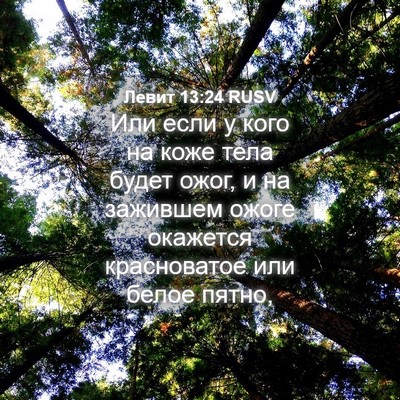 Picture 04 - Левит 13:24 RUSV - Или если у кого на коже - Bible Verse Picture