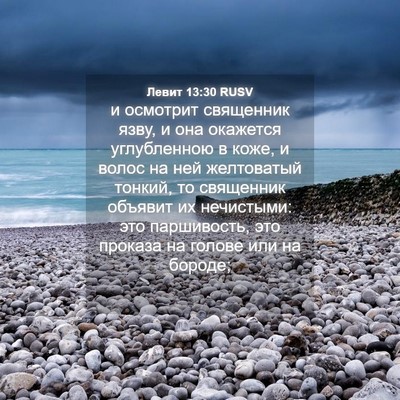 Picture 04 - Левит 13:30 RUSV - и осмотрит священник язву, - Bible Verse Picture