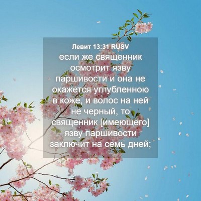 Picture 04 - Левит 13:31 RUSV - если же священник осмотрит - Bible Verse Picture