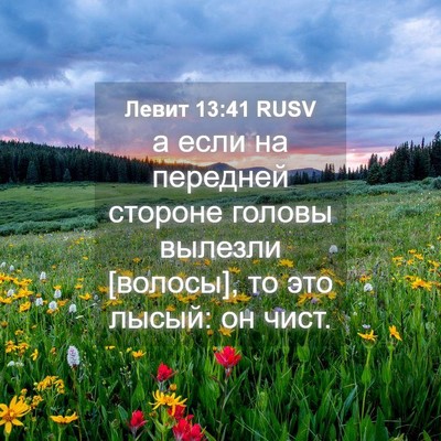 Picture 04 - Левит 13:41 RUSV - а если на передней стороне - Bible Verse Picture