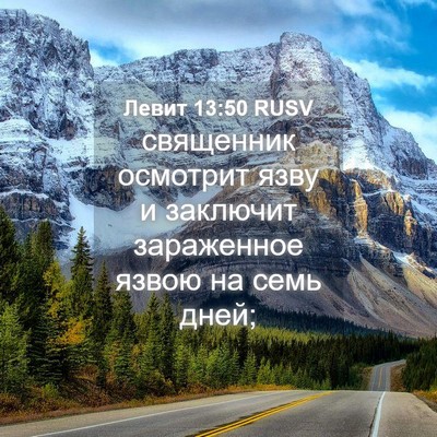 Picture 04 - Левит 13:50 RUSV - священник осмотрит язву и - Bible Verse Picture