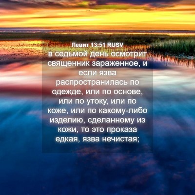 Picture 04 - Левит 13:51 RUSV - в седьмой день осмотрит - Bible Verse Picture
