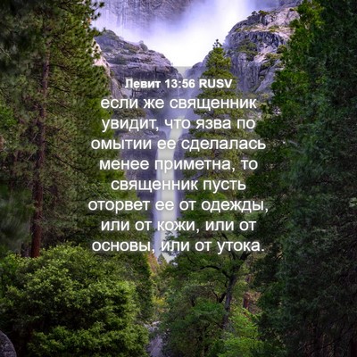 Picture 04 - Левит 13:56 RUSV - если же священник увидит, - Bible Verse Picture