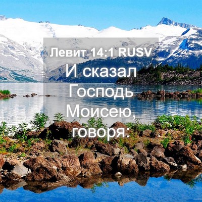 Picture 04 - Левит 14:1 RUSV - И сказал Господь Моисею, - Bible Verse Picture