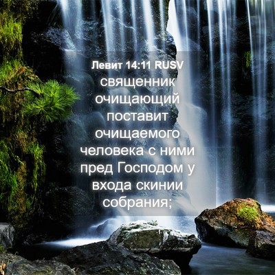 Picture 04 - Левит 14:11 RUSV - священник очищающий - Bible Verse Picture