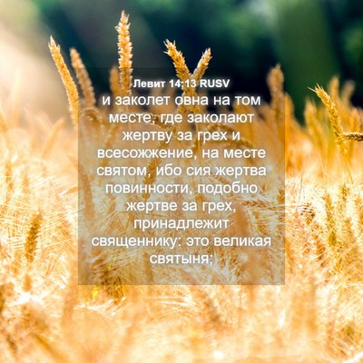 Picture 04 - Левит 14:13 RUSV - и заколет овна на том - Bible Verse Picture