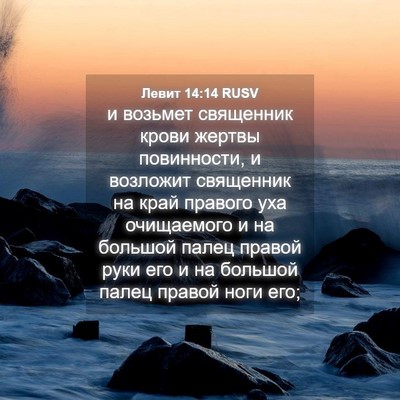 Picture 04 - Левит 14:14 RUSV - и возьмет священник крови - Bible Verse Picture