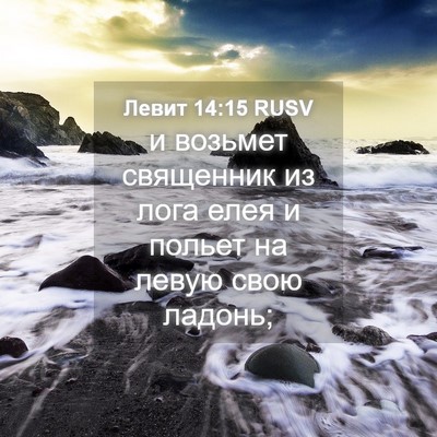 Picture 04 - Левит 14:15 RUSV - и возьмет священник из - Bible Verse Picture