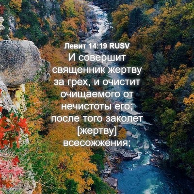 Picture 04 - Левит 14:19 RUSV - И совершит священник - Bible Verse Picture