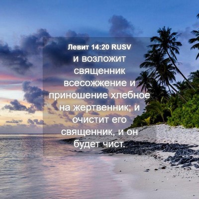 Picture 04 - Левит 14:20 RUSV - и возложит священник - Bible Verse Picture