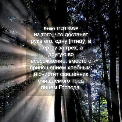 Picture 04 - Левит 14:31 RUSV - из того, что достанет рука - Bible Verse Picture