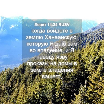 Picture 04 - Левит 14:34 RUSV - когда войдете в землю - Bible Verse Picture