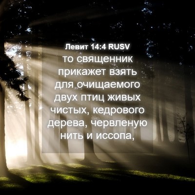 Picture 04 - Левит 14:4 RUSV - то священник прикажет - Bible Verse Picture